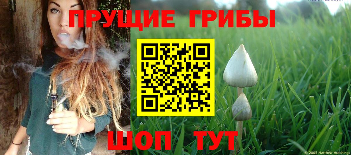 Кропоткин  Псилоцибиновые грибы прущие грибы  Вход с VPN  Псилоцибиновые грибы мухоморы 