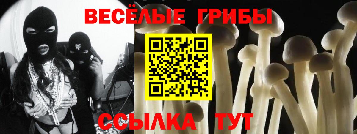 Псилоцибиновые грибы прущие грибы Кропоткин